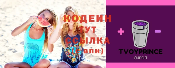 МДПВ Козельск
