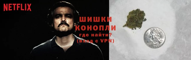 ГАЛЛЮЦИНОГЕННЫЕ ГРИБЫ Кинешма