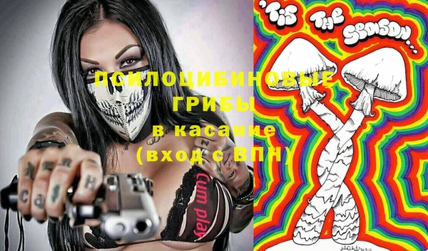 spice Козловка