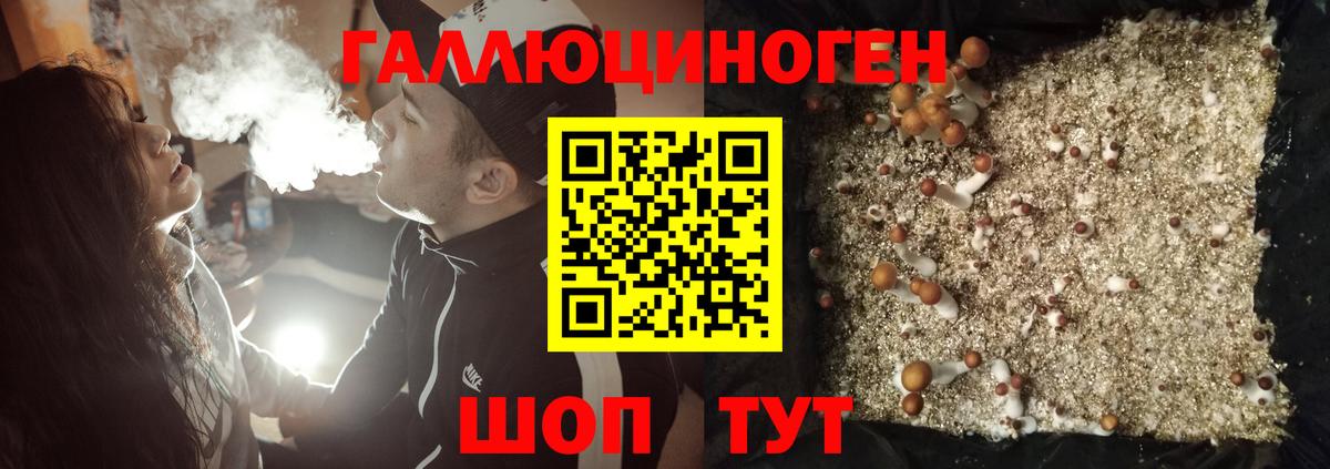 Псилоцибиновые грибы GOLDEN TEACHER Нижнекамск