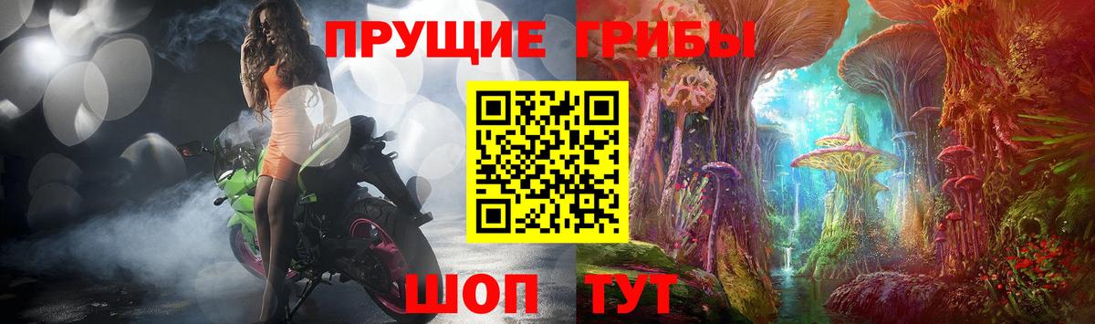 Галлюциногенные грибы MAGIC MUSHROOMS  Псилоцибиновые грибы Psilocybe  Вход с VPN  Нижнекамск 